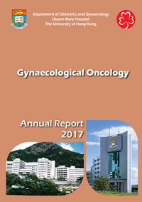 Gynaecological Oncology Annual Report 2017