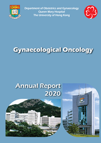 Gynaecological Oncology Annual Report 2020