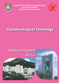 Gynaecological Oncology annual report 2016