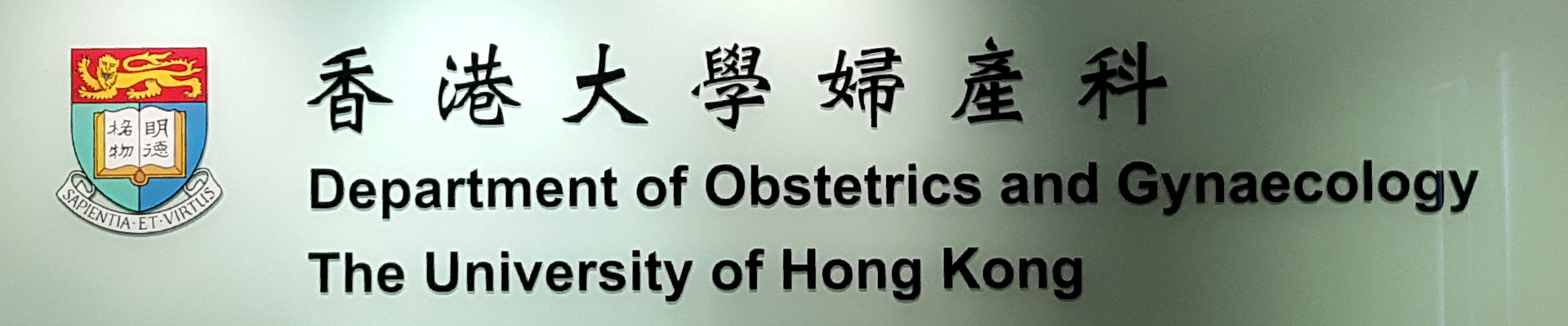 Department of Obstetrics and Gynaecology